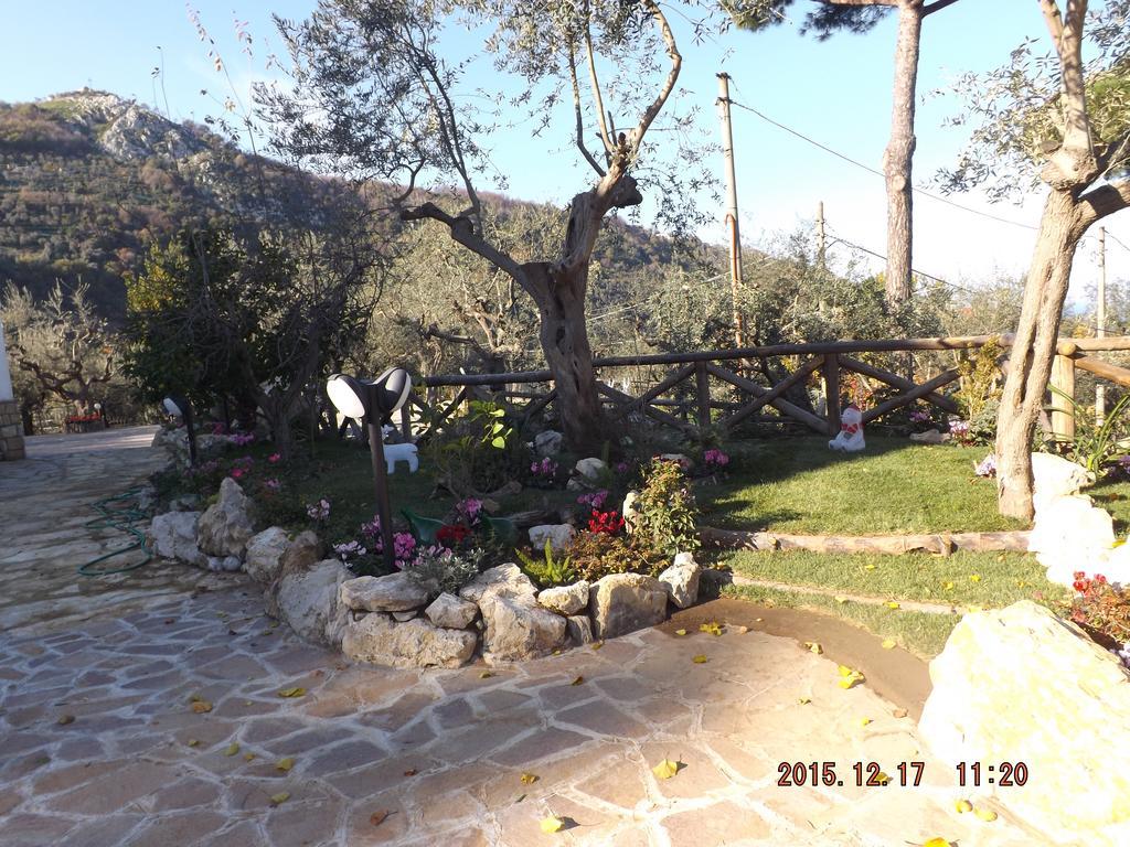 Appartamento Villa Degli Ulivi Sant'Agnello Εξωτερικό φωτογραφία