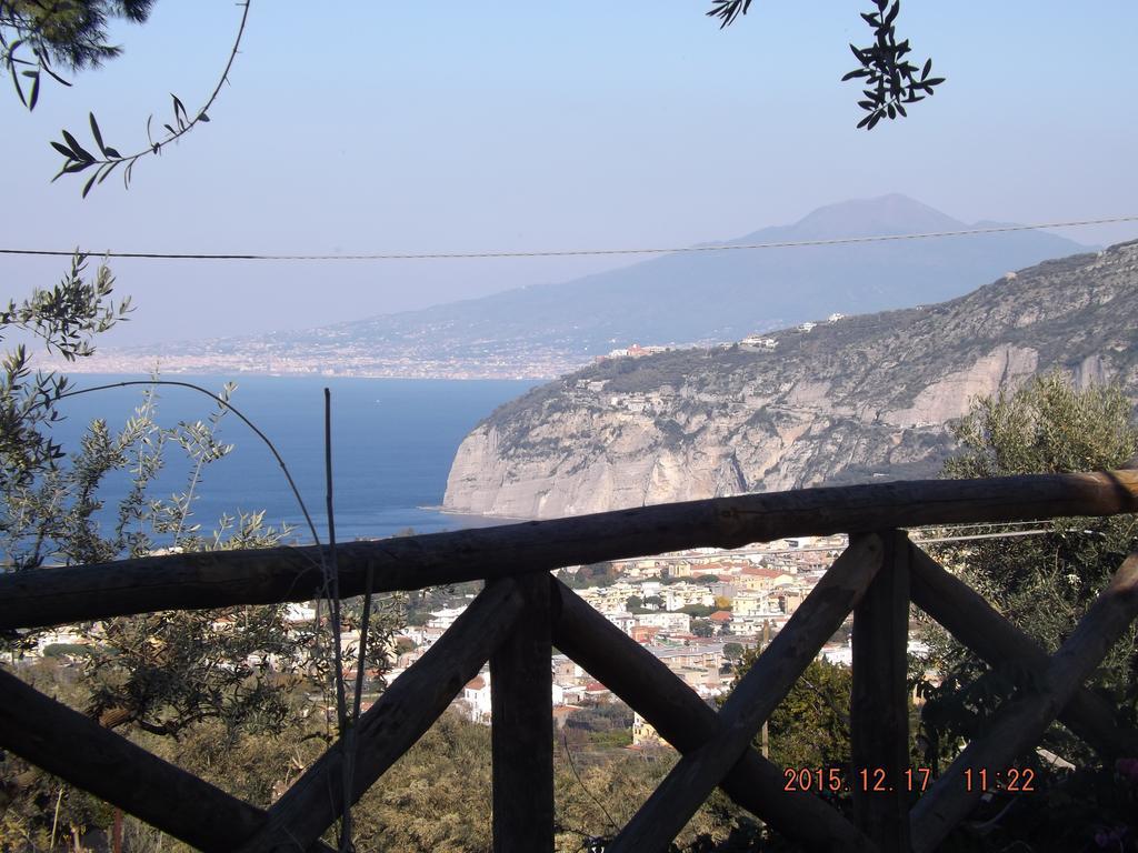 Appartamento Villa Degli Ulivi Sant'Agnello Δωμάτιο φωτογραφία